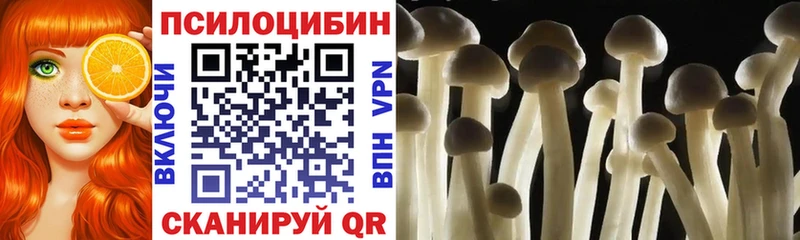 Псилоцибиновые грибы мицелий  Барнаул 